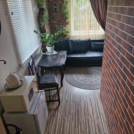 Pas Ligita Apartment Birzai Luaran gambar