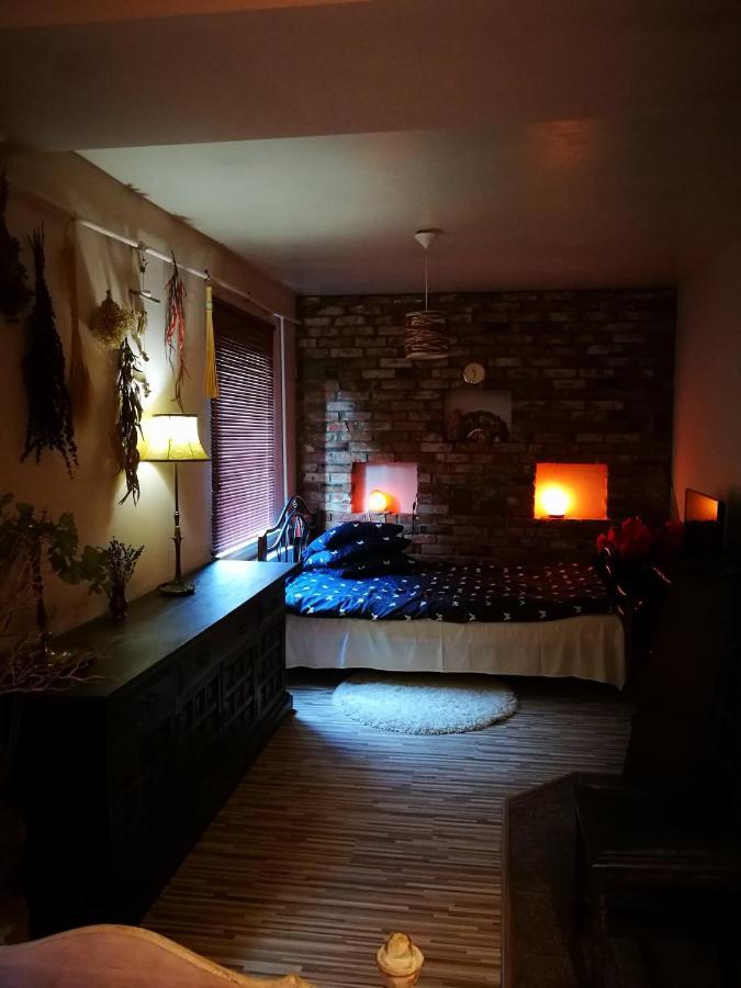 Pas Ligita Apartment Birzai Luaran gambar